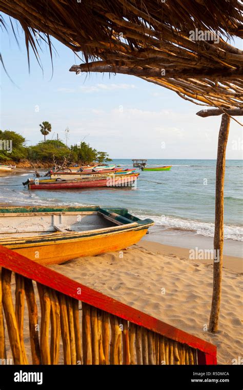 St elizabeth jamaica hi-res stock photography and images - Alamy