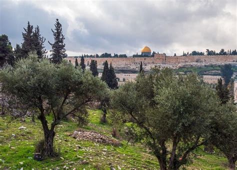 Biblical Significance of Jesus at the Mount of Olives - Sharing the ...