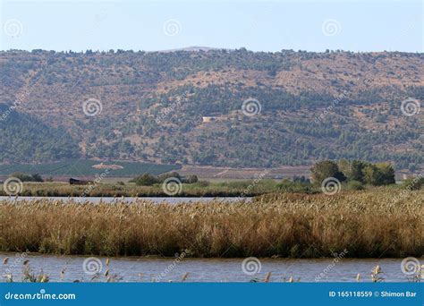 Hula National Bird Sanctuary Located in Northern Israel Stock Image - Image of reserve, morning ...