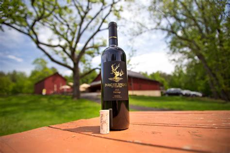 Paradise Springs Winery - Clifton | Fairfax County, VA