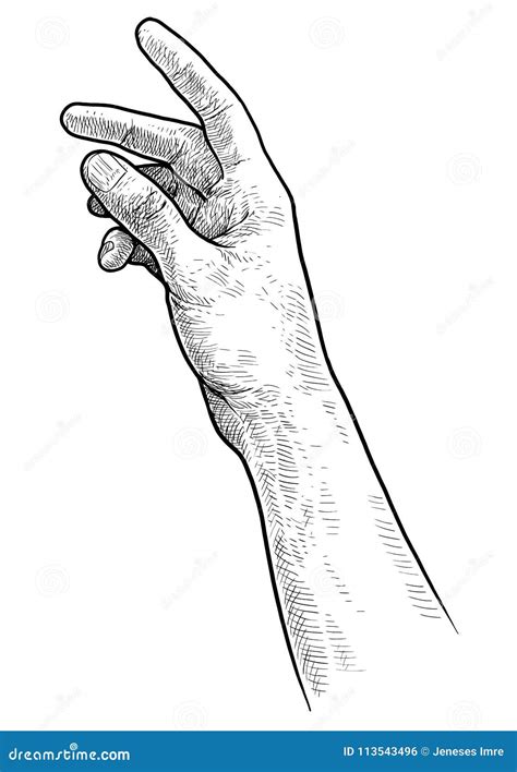 Reaching Hand Illustration, Drawing, Engraving, Ink, Line Art, Vector Stock Vector ...