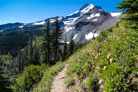 Mt. Hood National Forest: 6 Amazing Hikes For Autumn