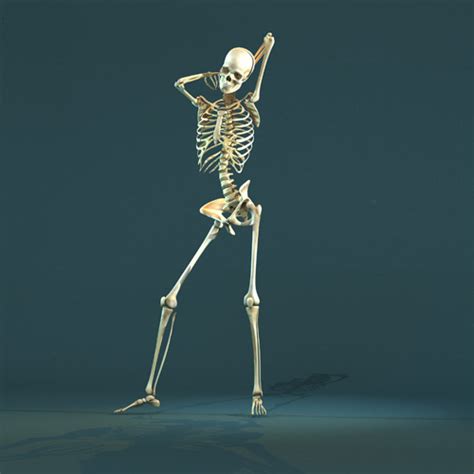 Skeleton | Skeleton drawings, Posing skeletons, Human anatomy art