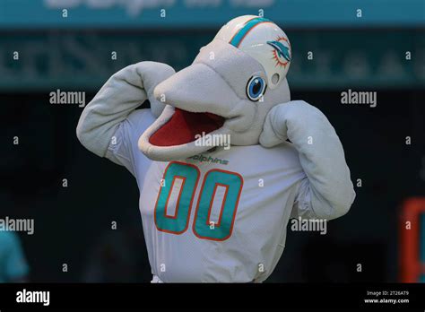 Miami. FL USA; Miami Dolphins mascot T.D. prior to an NFL game against ...