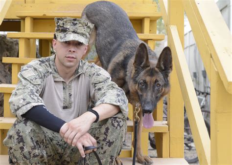 Rex Goes Home: Military Working Dog to Receive Cancer Treatment > U.S. Department of Defense ...