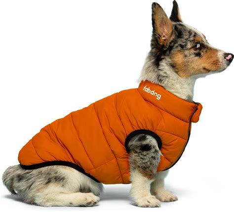 FAB DOG Pack-N-Go Reversible Dog Jacket, Olive/Orange, 18-in - Chewy.com