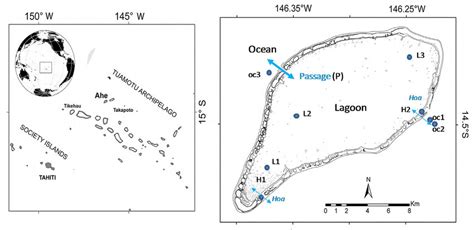 Left: Location of Ahe atoll. Right: Position of the sampling stations... | Download Scientific ...