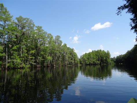 Shingle Creek Regional Park (Kissimmee) - 2020 All You Need to Know BEFORE You Go (with Photos ...