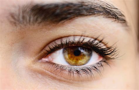 What Are Hazel Eyes and How Rare Are They? 34 Hazel Eye Colors Facts