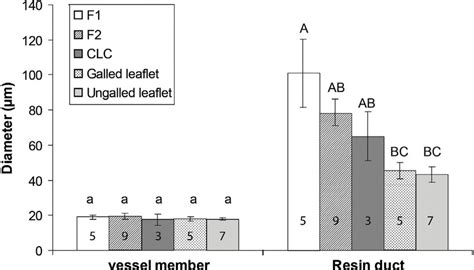 Measurements in the midvein in different gall types of S. betae, in the ...