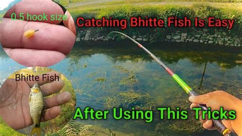 How? To Catch Small Fishes😱Try This Tricks||Fishing🎣Brook||Fishing Tips & Tricks🇳🇵 - YouTube