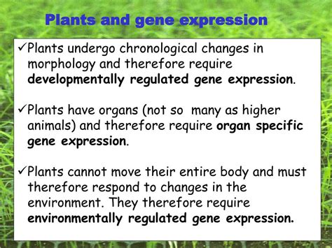 PPT - Gene regulation and expression in plants- overview Plant development and the environment ...