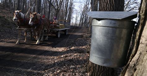 Maple Syrup Festival continues this weekend at Malabar Farm