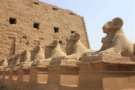 Karnak temple luxor, tours, day trips, temple of Amun Ra