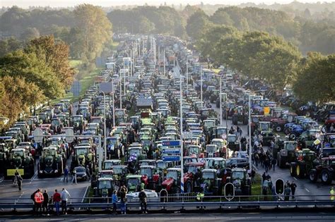 Dutch farmers' protest party celebrate shock win: 'What the f ...