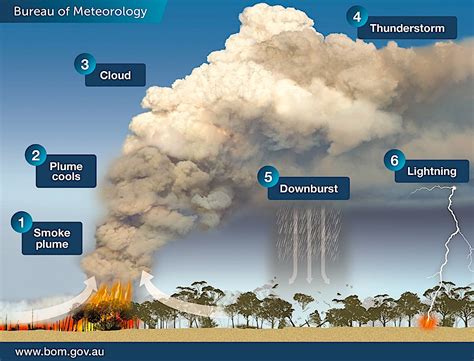 Australia's Deadly Bushfires Are So Big They've Started Generating Their Own Weather : ScienceAlert