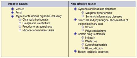 Sterile Pyuria - A Vital Indicator of Urinary Tract Infection - Dr Lal ...