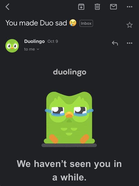 I made Duolingo sad, this is goodbye : r/memes