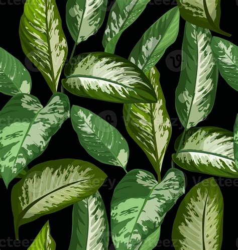 tropical leaf pattern 6973483 Stock Photo at Vecteezy