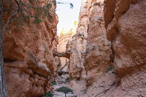 Navajo Loop Trail in Bryce Canyon – EVERYTHING you need to know! - My Perfect Itinerary