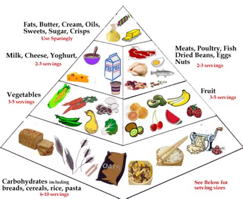 Balanced Diet and Cholesterol Control - HubPages