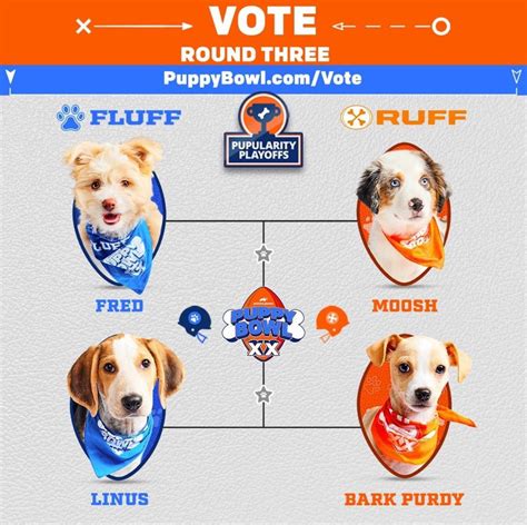 Sacramento’s Bark Purdy is in the Puppy Bowl Semifinals! : r/Sacramento