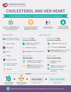 How To Improve Cholesterol Ratio - Contestgold8