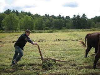 Hand To The Plow and Eyes Straight Ahead | Eternal Life Blog