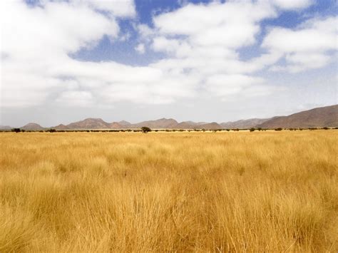 Free Images : landscape, cloud, sky, field, meadow, prairie, hill, barren, crop, pasture, bare ...