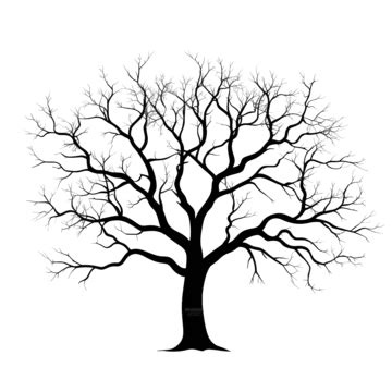 Leafless Tree Silhouette, Tree, Deciduous, Dead PNG Transparent Image ...