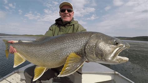 Lake Trout Fishing Tips - Guaranteed To Help! - USAngler