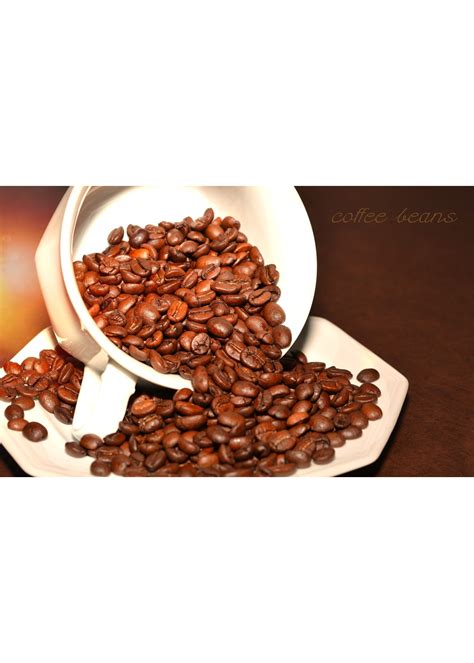 Sip and Savor: The 5 Best Light Roast Coffee Brands!