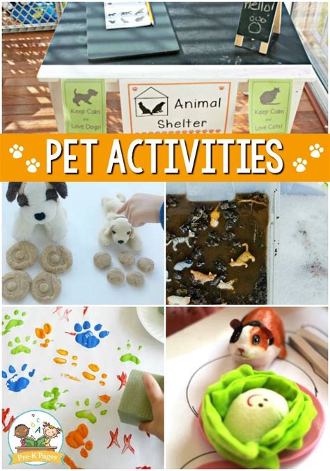 Pets Theme Activities for Preschool - Pre-K Pages | Preschool theme activities, Pets preschool ...