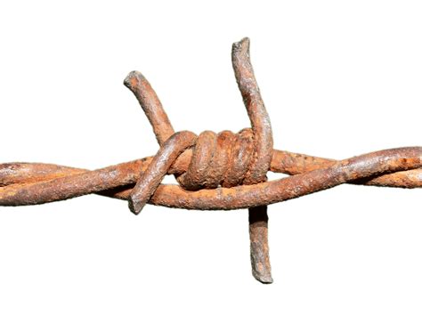 Barbed Wire Rusted Knot transparent PNG - StickPNG