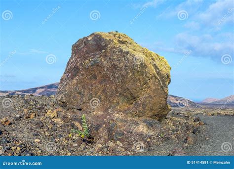 Volcanic Bomb in Front of Volcano Montana Colorada in Lanzarote, Tinajo Stock Image - Image of ...