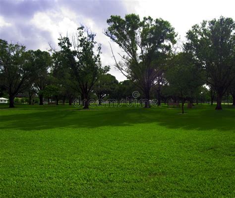 A Day in the park stock photo. Image of park, happy, lamp - 8098170