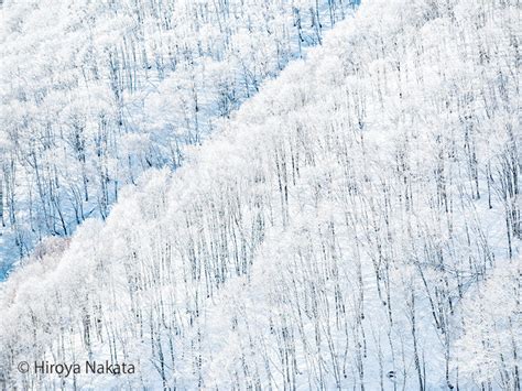 HAKUBA VALLEY SEASON PASS Early Bird Specials!! | G'Day Japan!