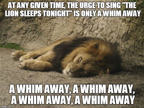 Iiiiiiiiiiiiuiamamaweee.... | The lion sleeps tonight, Memes, Funny