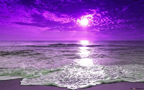 Purple Beach Sunset HD wallpaper download