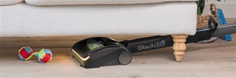 Top tips for vacuuming pet hair | Gtech Blog