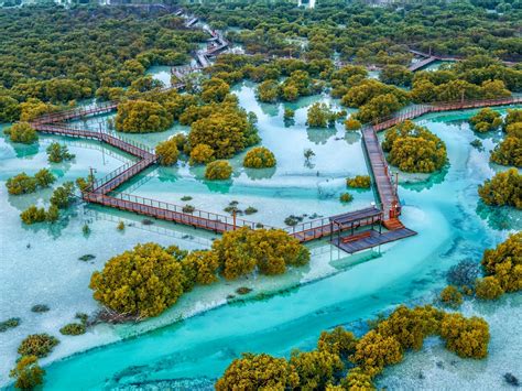 Abu Dhabi’s Jubail Mangrove Park attracts record number of visitors ...