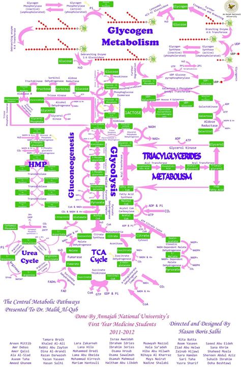 Biochemistry, Medicine student, Medicine