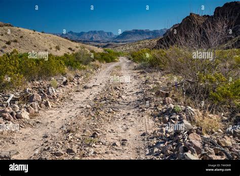 River Road, Chisos Mountains in distance, Chihuahuan Desert borderland, Big Bend National Park ...