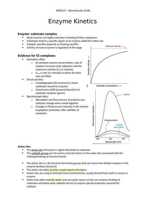 22.01.19 - Enzyme Kinetics - Enzyme Kinetics Enzyme- substrate complex ...