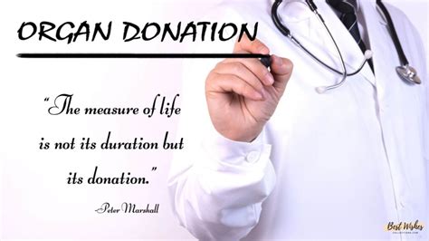 40 World Organ Donation Day Messages, Quotes & Greetings