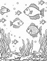75 Preschool Coloring Pages Cute Free Sheets  sketch template