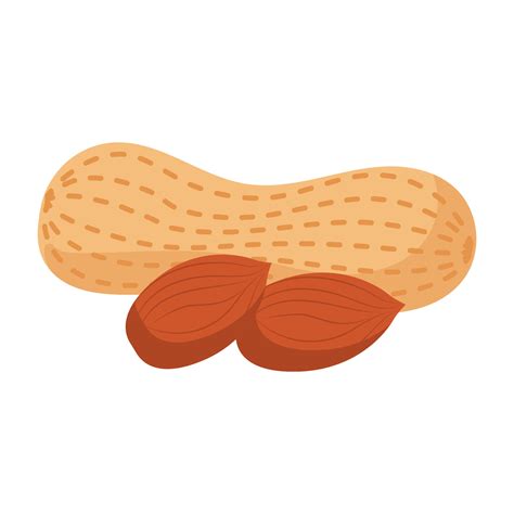 peanut cartoon vector object 4557246 Vector Art at Vecteezy