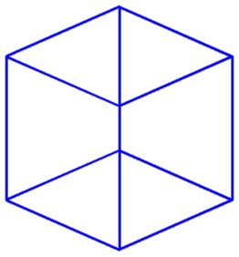 Necker Cube Animation | Interactive Optical Illusion