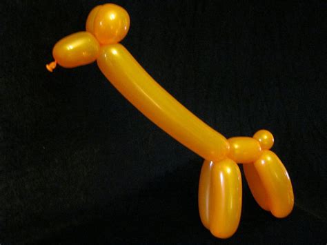 Balloon Animals with one Balloon: How to make Giraffe with one 260Q