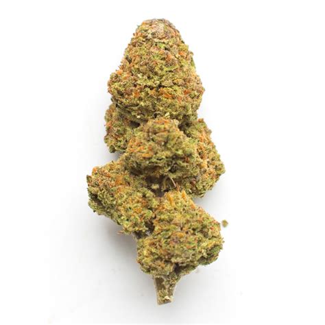 UK Cheese Strain | Cannabis Strains | Flavor Fix